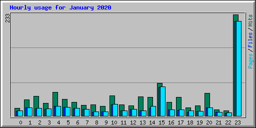 Hourly usage for January 2020